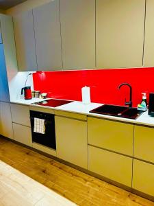 卢布林Apartment Targowa L9的一个带水槽和红色墙壁的厨房