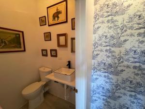 罗克桑德Bahamian Farm House的一间带卫生间和水槽的浴室