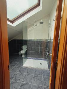 阿里纳斯·德·卡伯瑞勒斯Apartamentos y Habitaciones El Coterin的一间带卫生间的浴室内的玻璃淋浴间