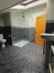 阿里纳斯·德·卡伯瑞勒斯Apartamentos y Habitaciones El Coterin的带淋浴、卫生间和盥洗盆的浴室
