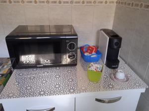 诺瓦拉La casa di Lucia Appartamento的厨房的台面上有一个微波炉