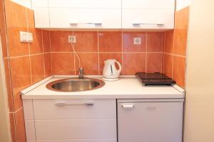 巴尔Apartmani Novkovic的一间带水槽和烤面包机的小厨房