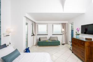 普莱伊亚诺La Divina Amalfi Coast的一间卧室配有一张床、一张沙发和一台电视。
