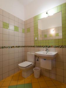 奥帕瓦Hostinec & Vitální svět Raduňka的一间带卫生间、水槽和镜子的浴室