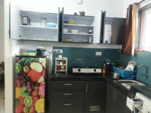 卡纳科纳Palolem plaza的厨房配有冰箱,里面装满了水果