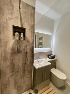 布莱顿霍夫Stunning Victorian Mansion Flat的带淋浴、卫生间和盥洗盆的浴室