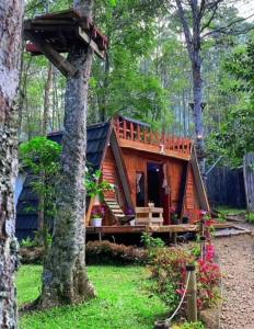 万隆Penginapan segitiga的树林里的木头小屋