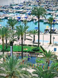 阿尔库迪亚港Tranquilo apartamento con vistas al mar.的享有棕榈树和船只码头的景色
