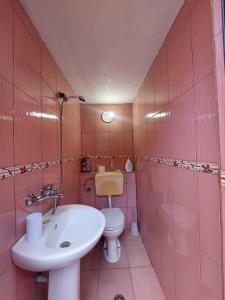 地拉那GEX Guest House的粉红色的浴室设有卫生间和水槽