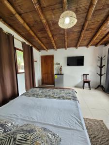 蒙塔尼塔Palmendros Hosteria的一间大卧室,配有两张床和电视