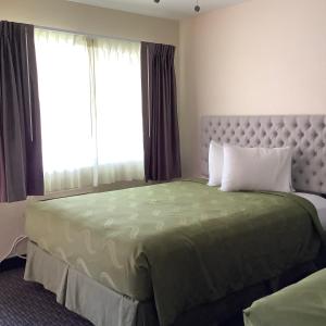 圣克鲁兹国家9号汽车旅馆的一间卧室设有一张大床和大窗户