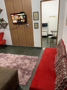 巴西利亚kitnet para casal em Taguatinga-DF的带沙发和红色地毯的客厅