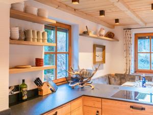 劳里斯Spykerhütte的厨房配有木制橱柜和台面