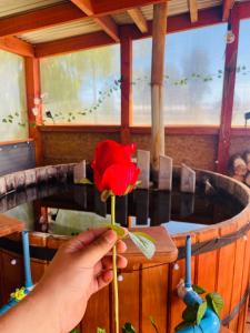 San José de la MariquinaEl pantano de sherk y fiona的把红玫瑰放在桌子上的人