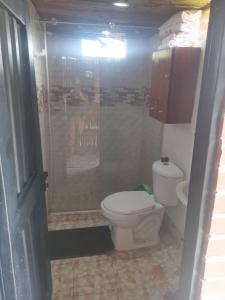 PalestinaChalet Lupe的一间带卫生间和淋浴的浴室