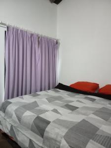 埃斯特角城Chiquense的一间卧室配有一张床和紫色窗帘