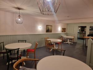 奥斯特巴德·哥伦Pension Zum grünen Kakadu的一间带桌椅和吊灯的餐厅