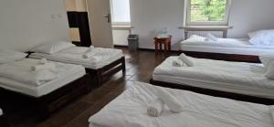 RadomierowiceZamek Bożejów的一间客房配有4张床垫和2张床