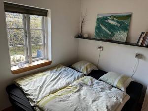 基巴埃克Holiday home Kibæk的一间卧室设有一张床和两个窗户。