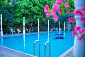 贾夫纳Tilko City Hotel Jaffna的游泳池拥有蓝色的水和椅子及树木