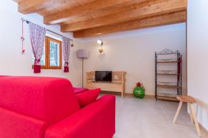 阿莱盖Residence Rosental的客厅配有红色沙发和电视