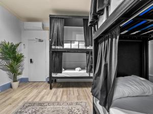 悉尼Sydney Pod Hotels - Darling Harbour的卧室配有两张双层床和地毯。