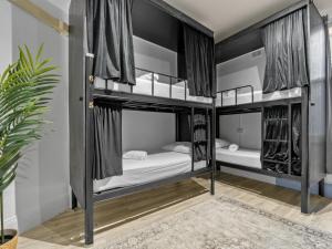 悉尼Sydney Pod Hotels - Darling Harbour的配有盆栽的客房内的两张双层床