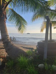 LimonesTres Monos Hotel, Restaurante, Piscina, Bar的海滩上的棕榈树和轮胎