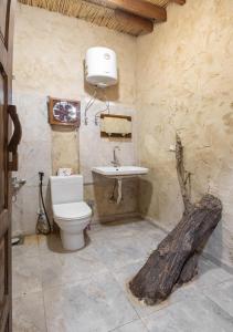 锡瓦Olive Garden House Siwa的一间带卫生间和水槽的浴室