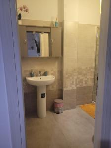 罗马Tiny Green apartament in Rome - Magliana的一间带水槽和淋浴的浴室