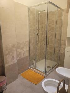 罗马Tiny Green apartament in Rome - Magliana的浴室里设有玻璃门淋浴