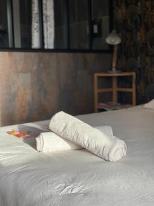 图卢兹Kazeth's Chambre chez l'habitant的床上的两张折叠毛巾