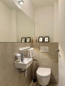 慕尼黑Leo‘s MUNICH Apartment的一间带卫生间、水槽和镜子的浴室