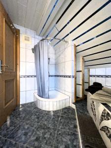 SchellgadenFerienwohnung Aigner的带浴缸和浴帘的浴室