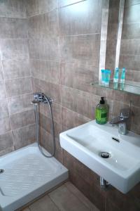 Álli MeriáHotel Defkalion的带淋浴和白色盥洗盆的浴室