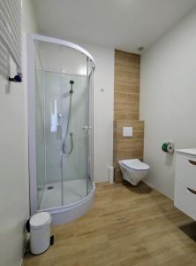 弗瓦迪斯瓦沃沃Family Homes - Sand Apartments的带淋浴和卫生间的浴室