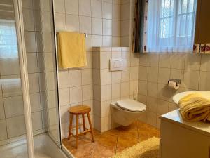 菲尔根斯托纳霍夫旅馆的带淋浴、卫生间和凳子的浴室