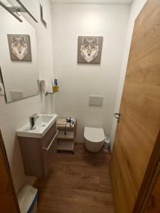 圣莱奥纳尔多因帕西里亚Schlossberg的一间带水槽、卫生间和镜子的浴室