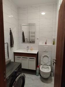 皮罗特Apartman Branković Pirot-Zapadni Kej 58的白色的浴室设有卫生间和水槽。