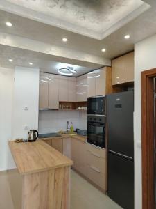 皮罗特Apartman Branković Pirot-Zapadni Kej 58的厨房配有黑色冰箱和台面