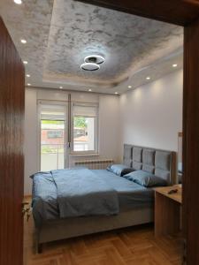 皮罗特Apartman Branković Pirot-Zapadni Kej 58的一间卧室设有一张带天花板的床