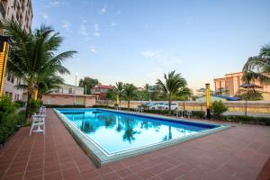 金边Notis International Hotel 诺蒂斯国际酒店的周围环绕棕榈树的大型游泳池