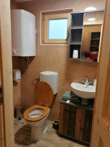 克拉尼Pr' Končovc的一间带卫生间和水槽的浴室