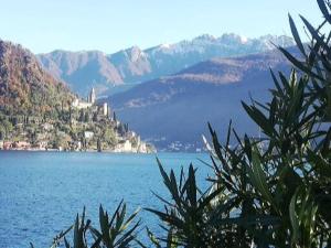 BrusimpianoIl Cavallino, sul lago Ceresio的享有大片的山水美景