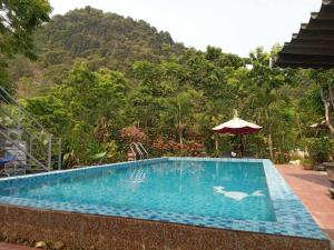 峰牙Phong Nha Magic Fingers Homestay and Spa的一座山地游泳池