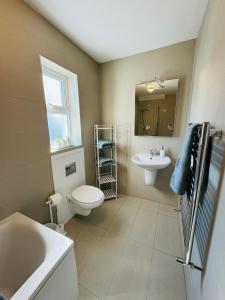 BrackhillDe Búrca Cottage KERRY的一间带卫生间、水槽和镜子的浴室