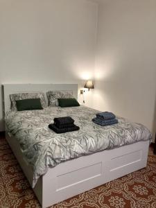 维杰瓦诺Casa Vigevanese CIR 018177-LNI-00019的卧室内的一张带两个枕头的床