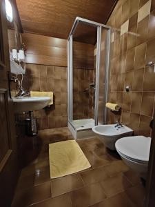 萨伦蒂诺Hotel Alpenblick的浴室配有卫生间、盥洗盆和淋浴。
