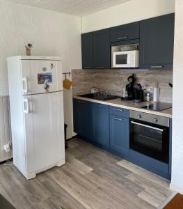 维拉尔-德朗Appartement 50m2 vue imprenable avec garage draps et serviettes compris的厨房配有蓝色橱柜和白色冰箱