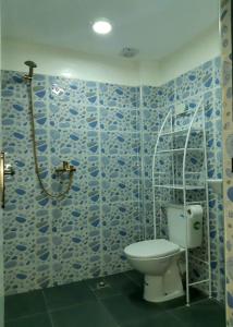 塔哈佐特Artic House的蓝色瓷砖浴室设有卫生间和淋浴。